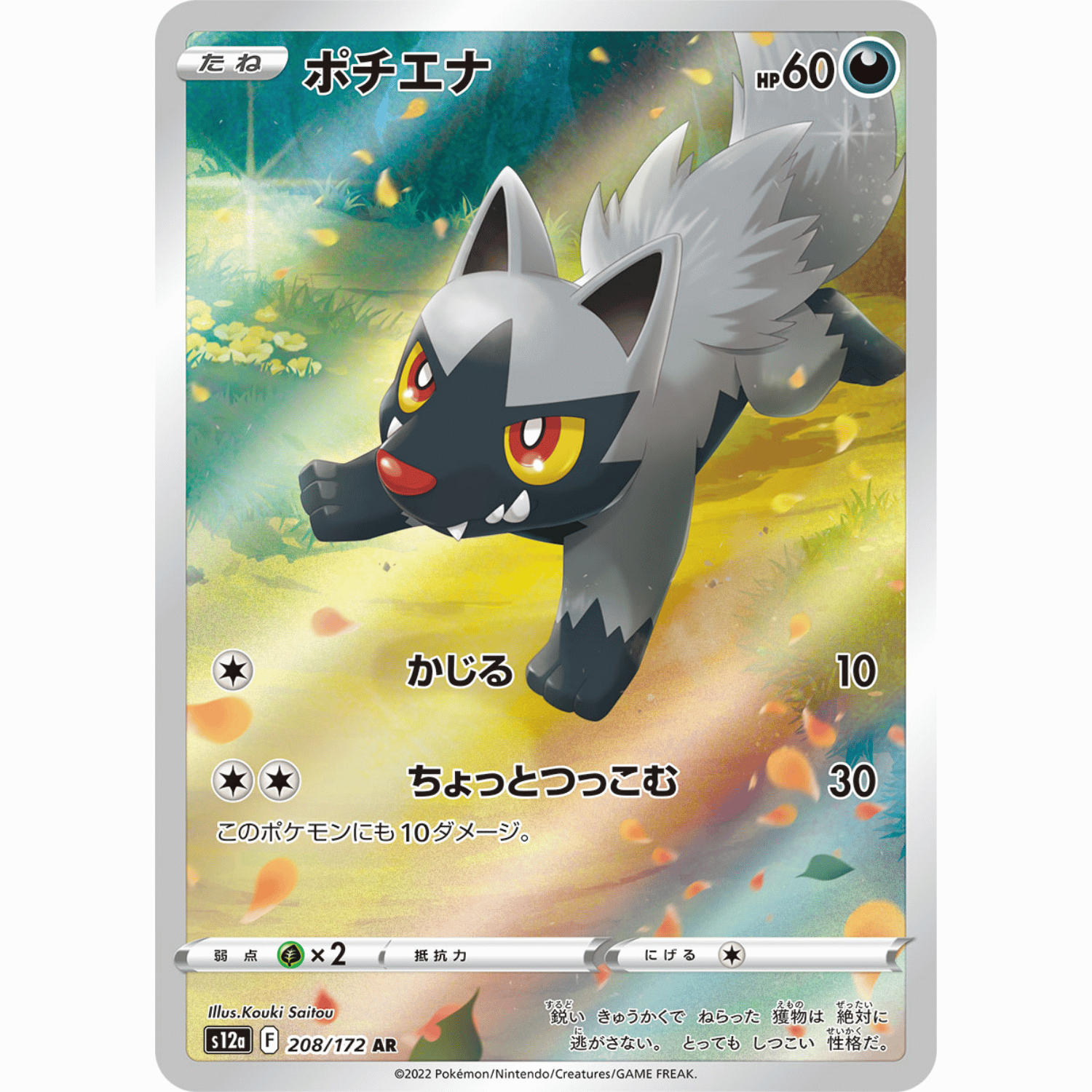 Poochyena (S12a 208/172 AR)